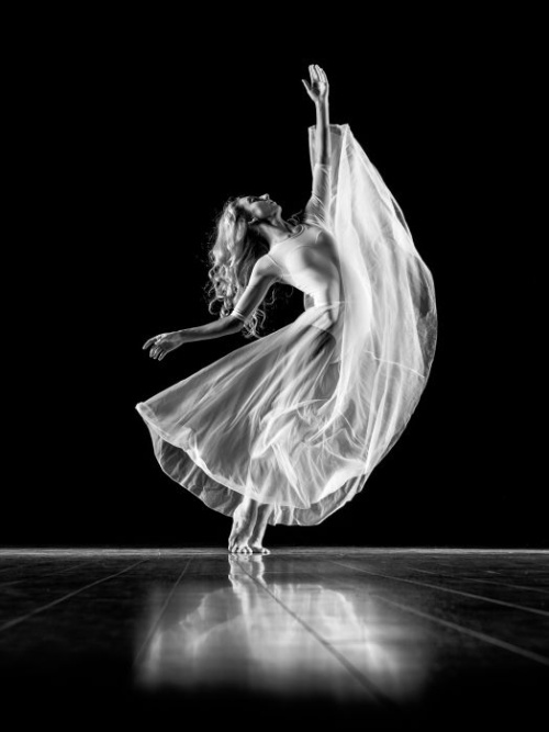 My Daughter-in-Law Made Me Sign Away My Dance Studio. At the Recital, She Announced She Owned It — Then the Real Owner Walked Onstage.